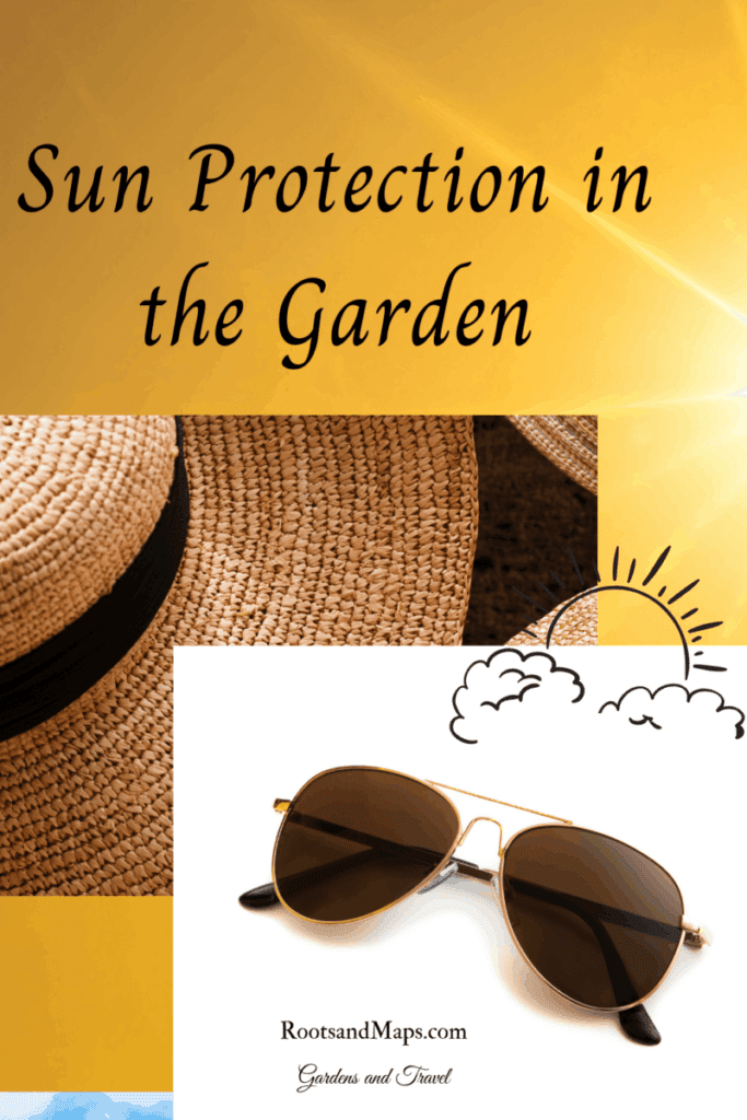 sun protection hats & glasses