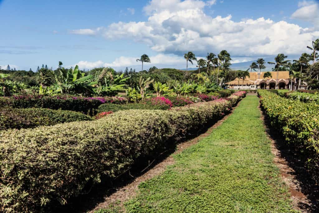 Gardens at Maui Tropical PLantation