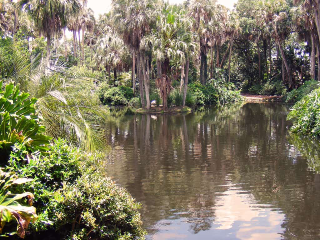 a florida garden