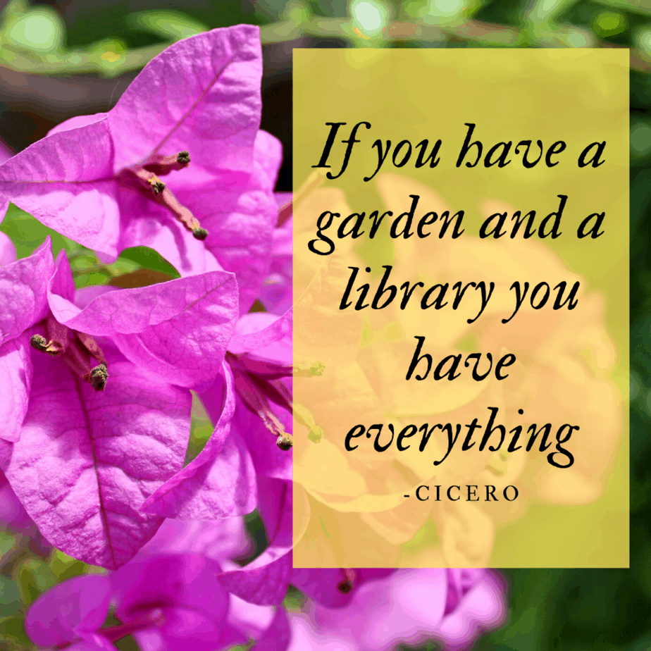 Cicero on gardening quote