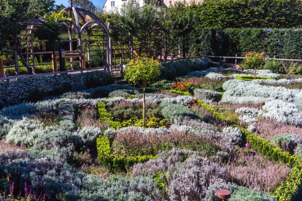 Knot Garden at Shakespeare's New PLace