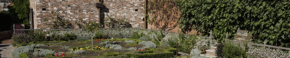 Shakespeare's walled garden-herbs and ornamental