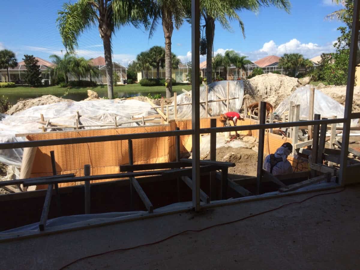 How to Find a LowMaintenance Ground Cover Rabbits Won't Love! ⋆ Roots