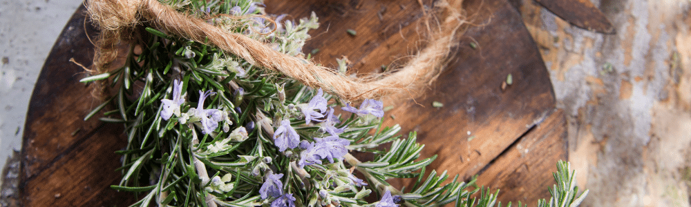 Rosemary ready for cooking. Sage advice for herbs-garden to kitchen