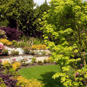 Ground cover will solve the problem of soil erosion in a sloping garden.