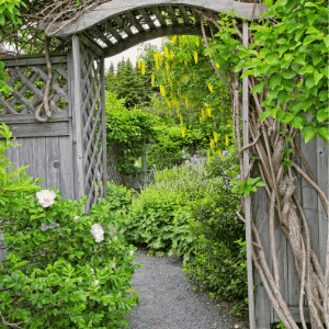 garden arbor ready to bloom for the prerfect spring garden