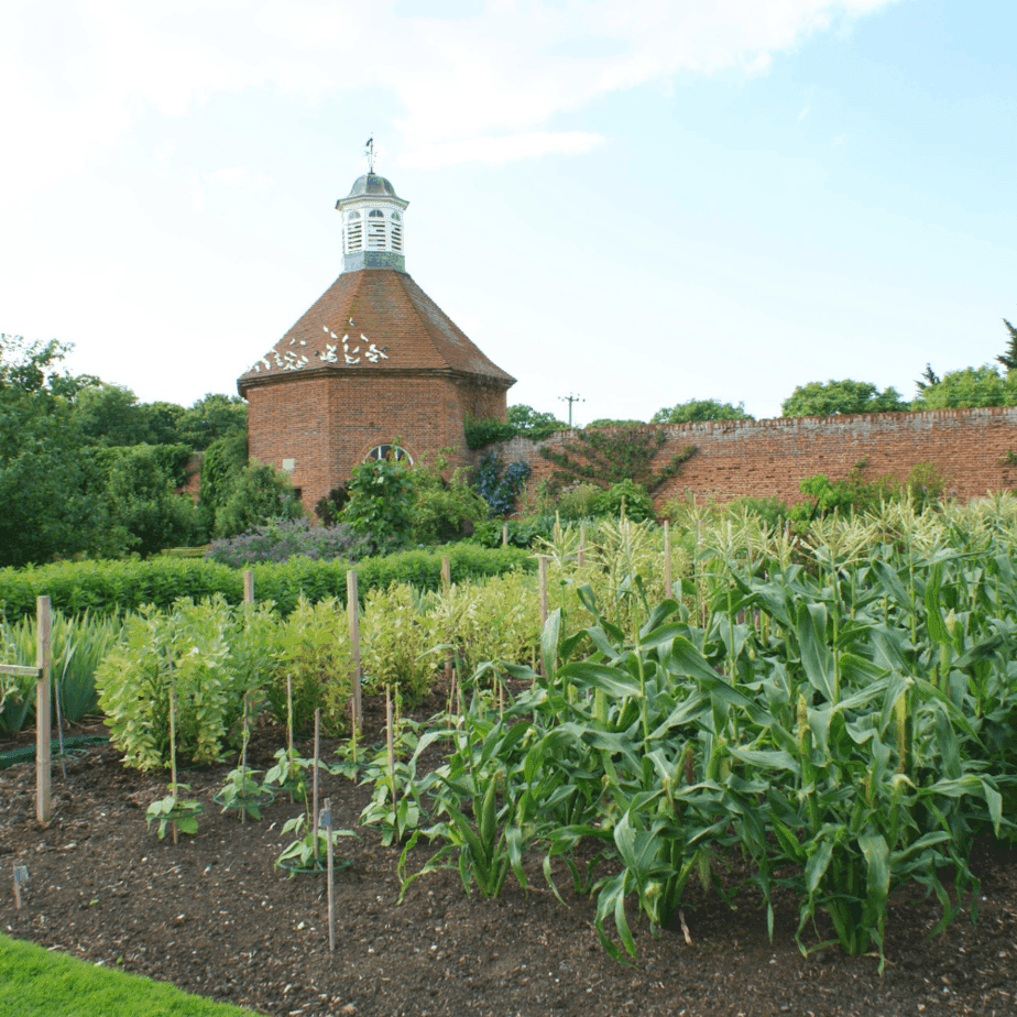 vegetable garden with dovecote