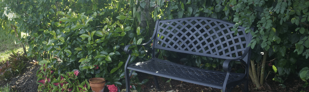 Garden seating near Gardenia scent