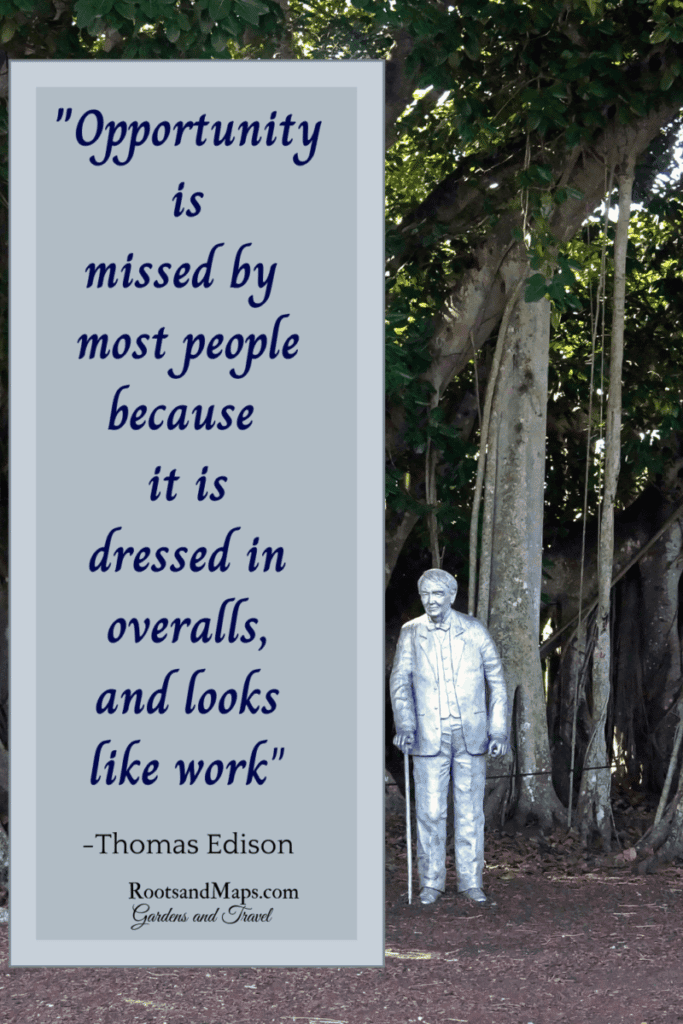 Thomas Edison with quote -success growing gardenias