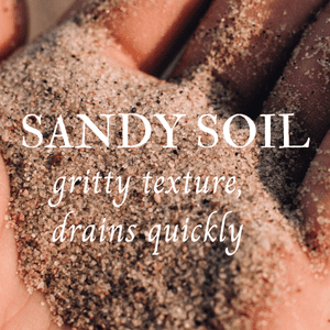 features of sandy soil