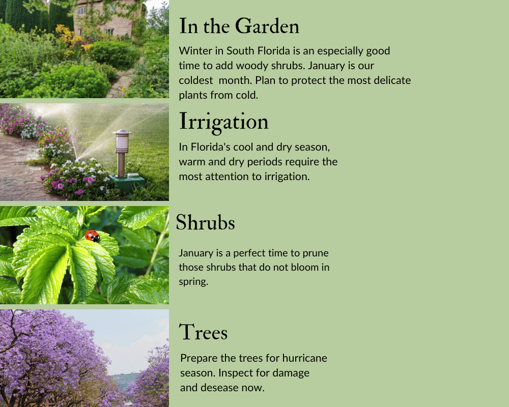 Month by month chart of what to do in the garden.