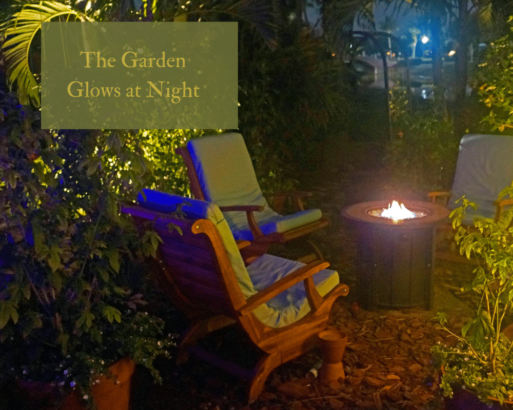 Garden chairs around a small fire with moonlight.