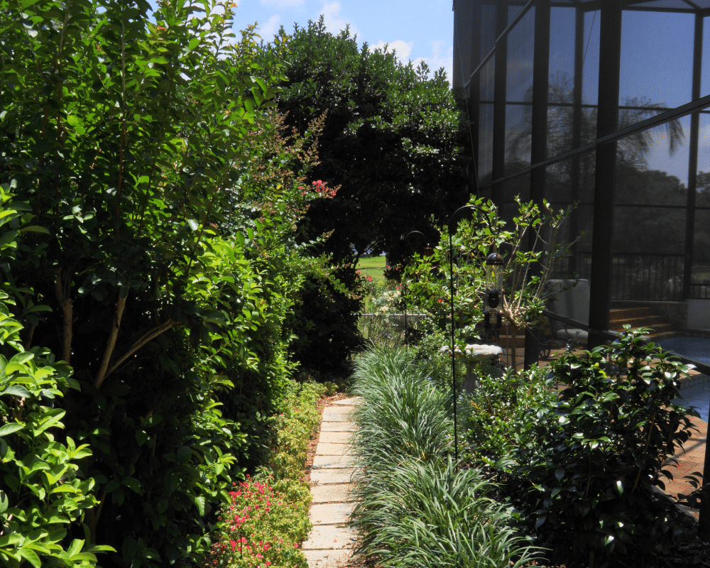 A borrrowed view in the small garden