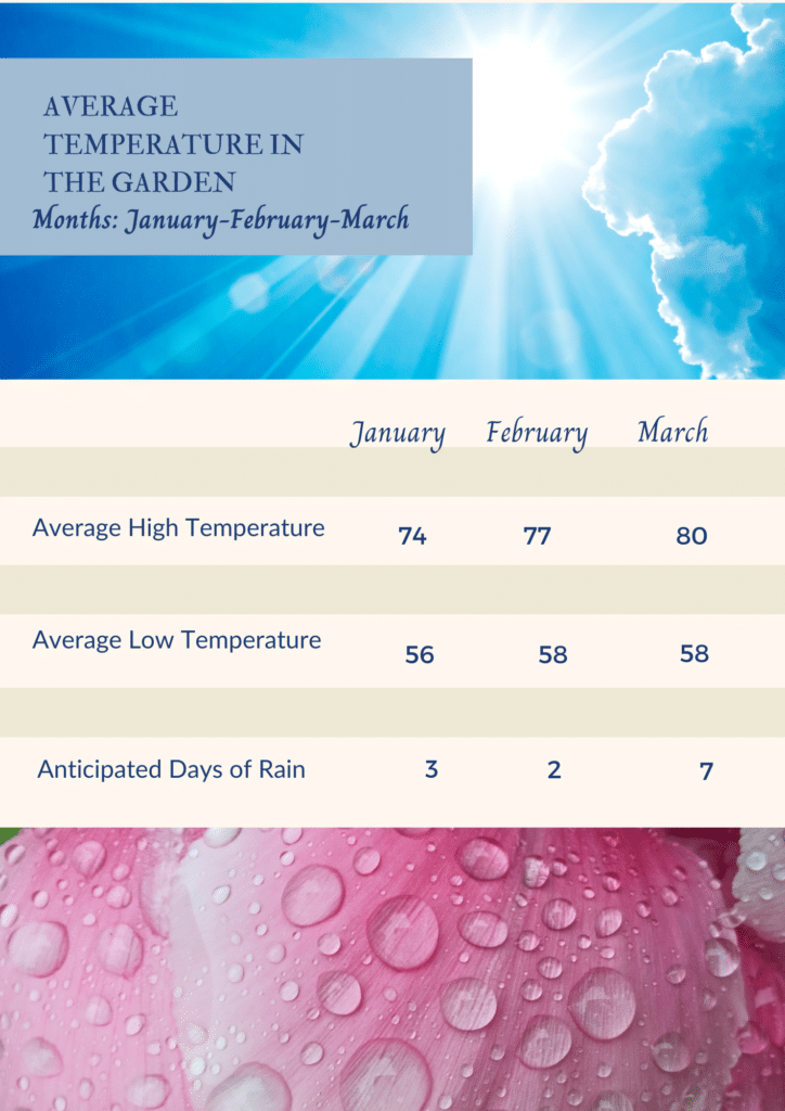 Three month temperature and rain chart