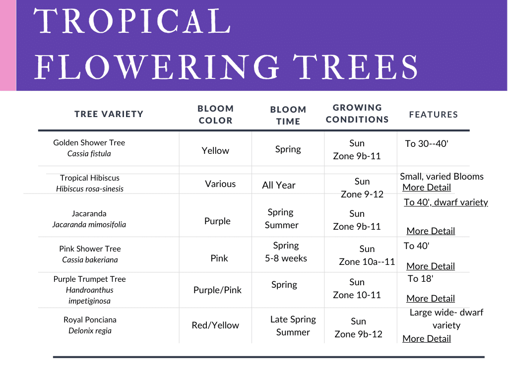 Flowering Trees for tropical and subtropical gardens