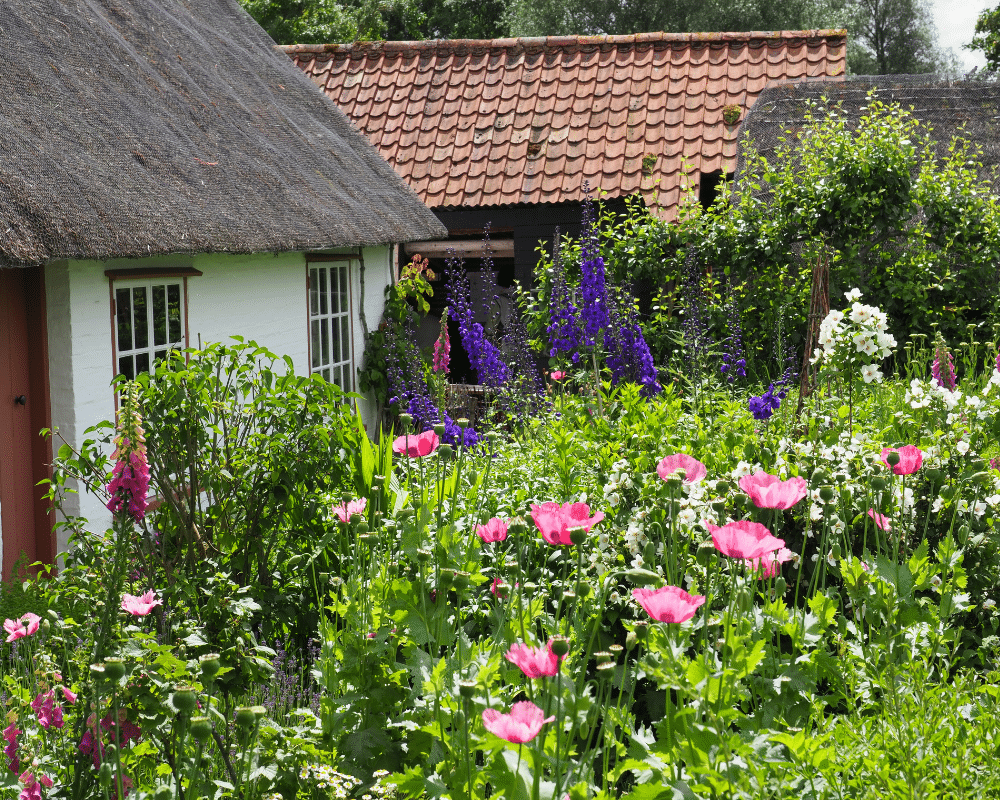 A historic cottage garden