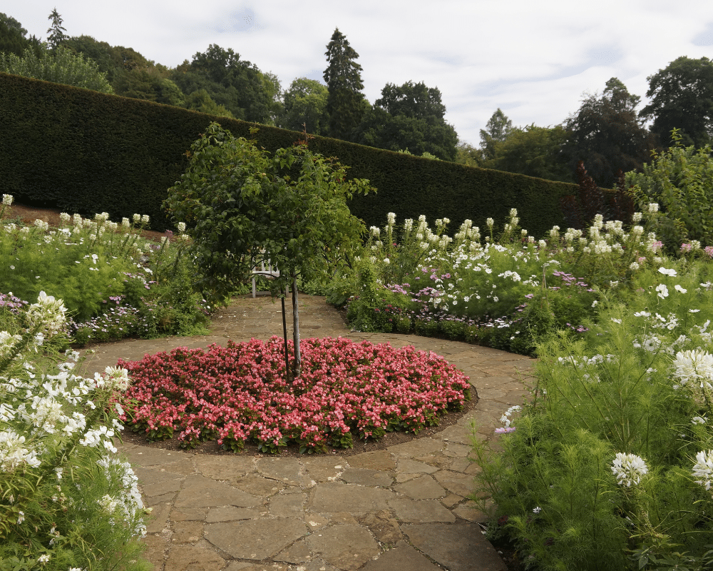 A small garden with a clear focal point