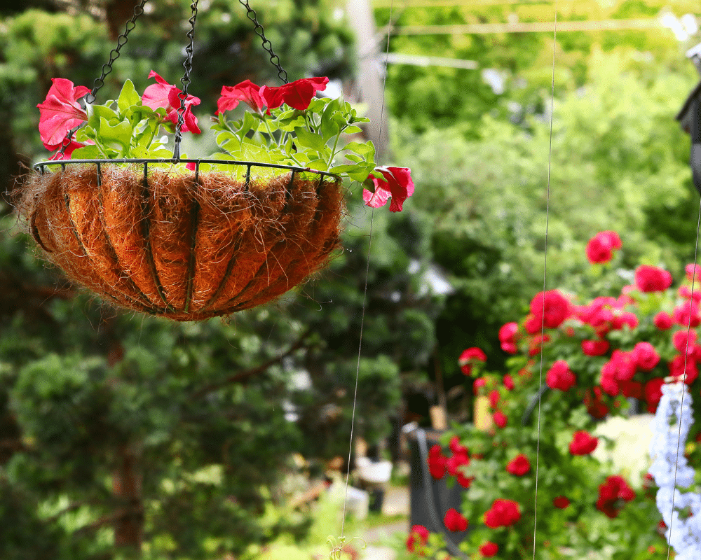 Wire hanging flower basket with coir liner