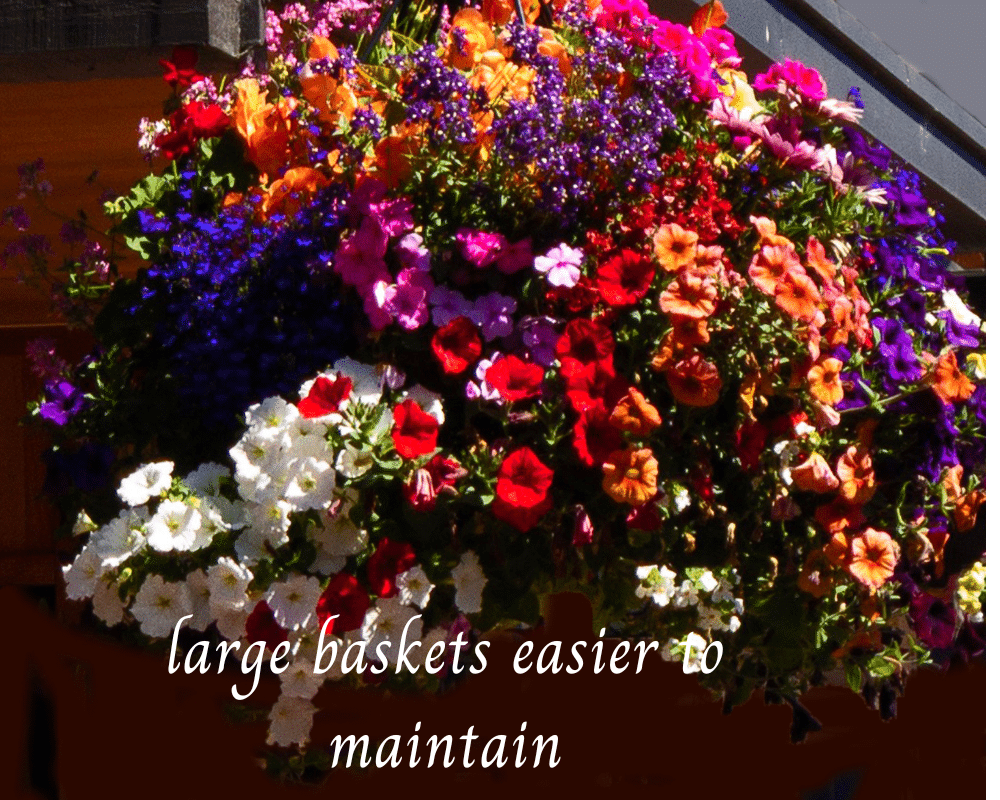 large hanging flower basket