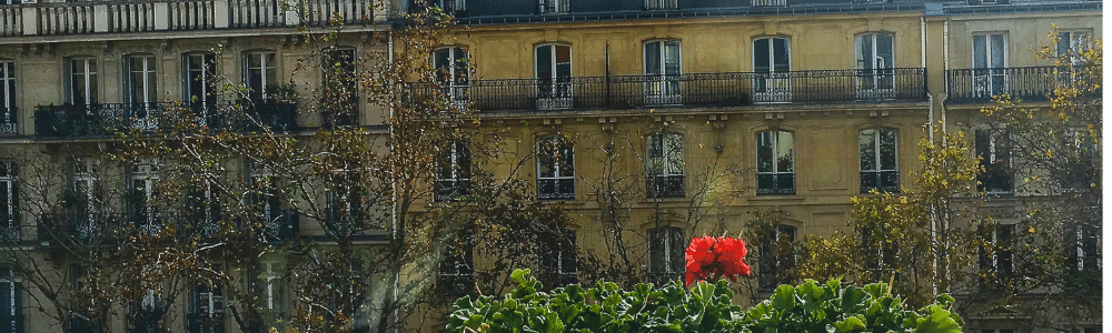 geranium window box