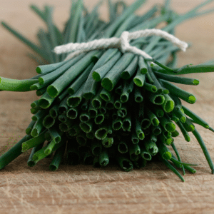 chives grown in the winter garden