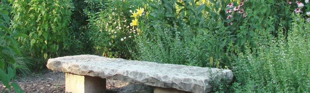 A Florida Garden with Stone