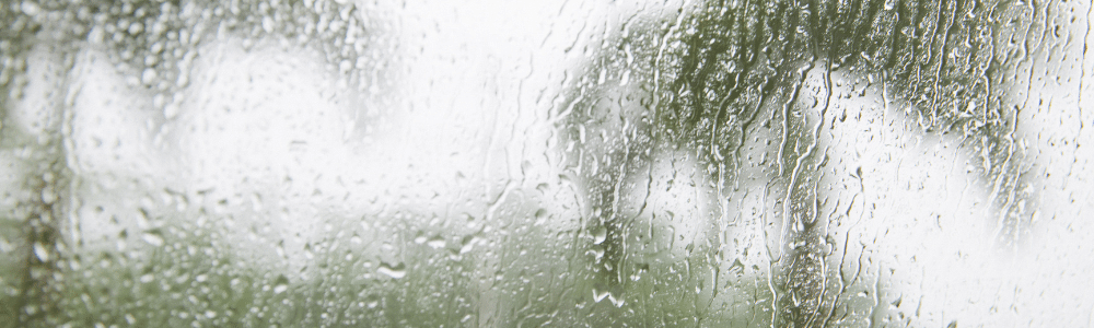 Rain in Florida