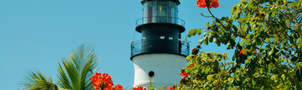 Blooms around Historic Sanibel Lighthouse