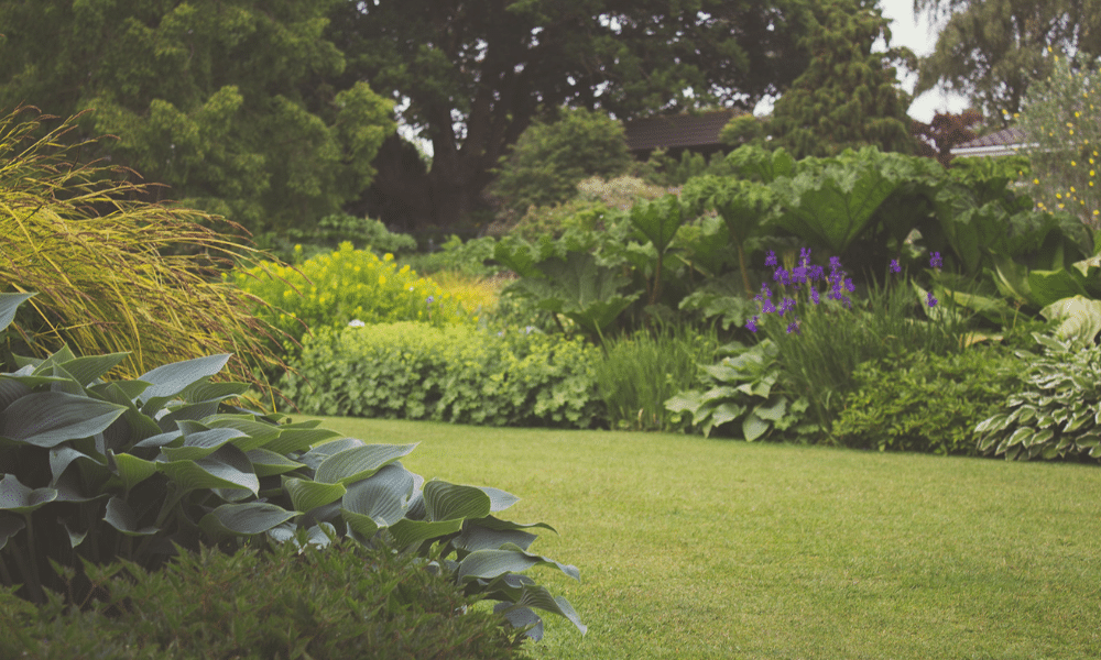 A garden filled with texture
