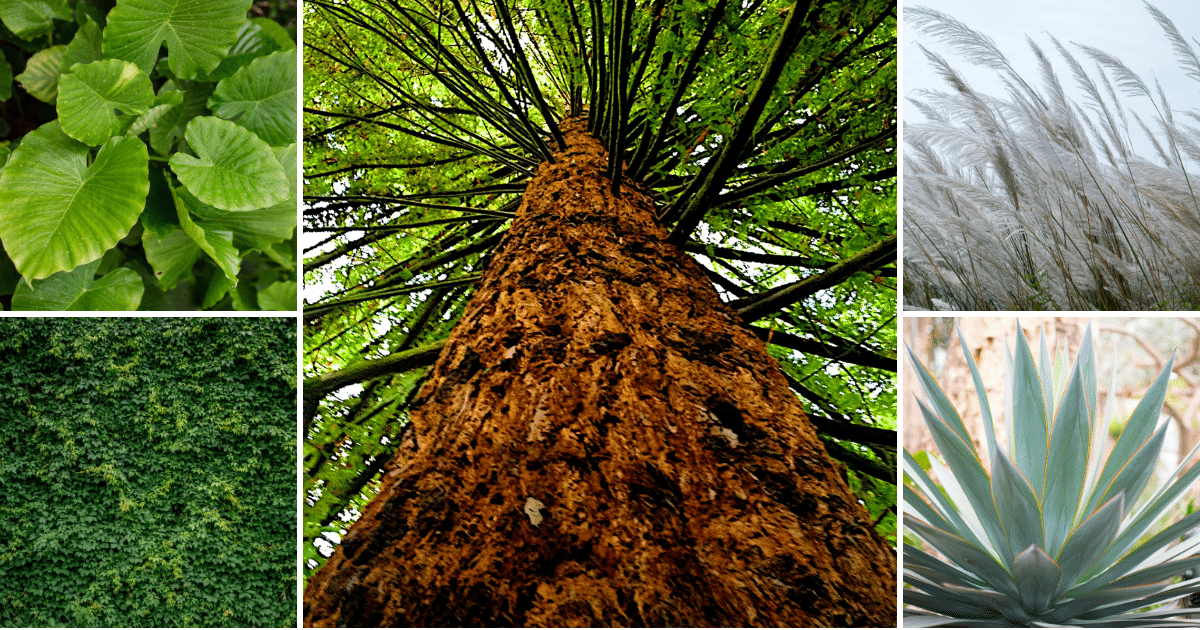 Multiple textures found in nature
