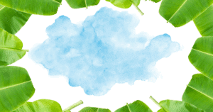 Banana leaves surrounding the sky