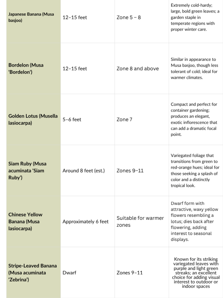 List of Ornamental Banana to Choose From