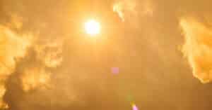 a burning sun that damages plants