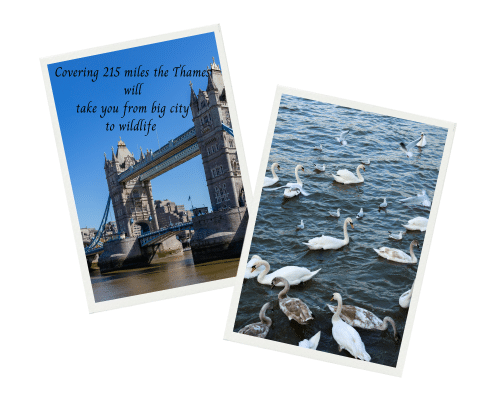 Two images of the River Thames city and country