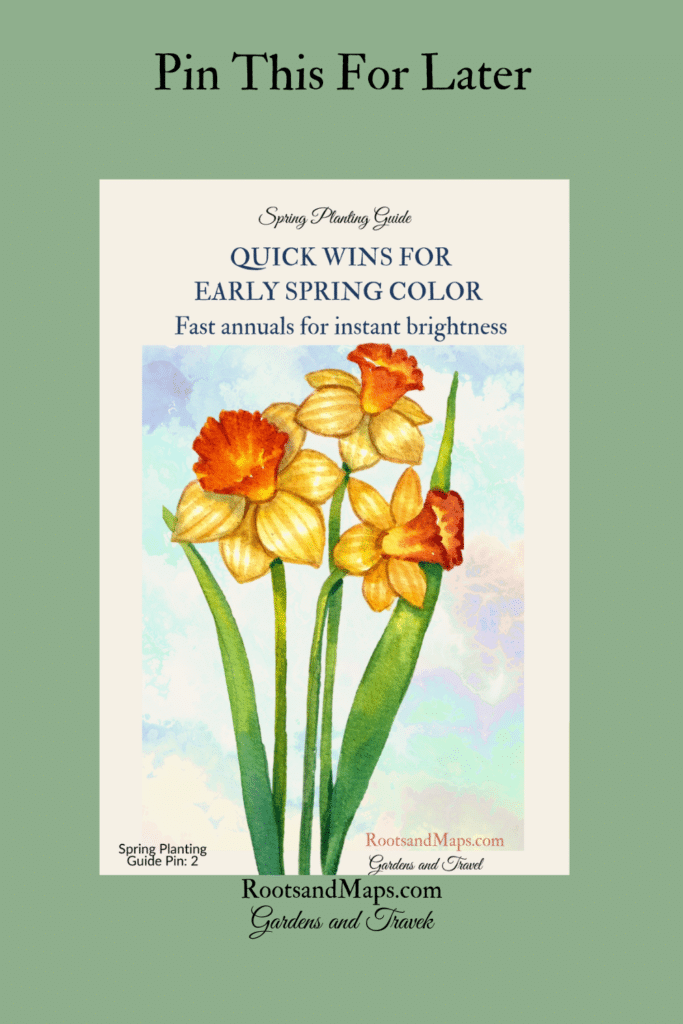 Quick wins to plant in early spring. Bright annuals to start the seasson.