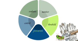 IPM: Part ll, the five steps
