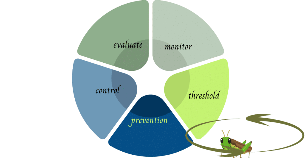 How to learn from your garden and improve each season.