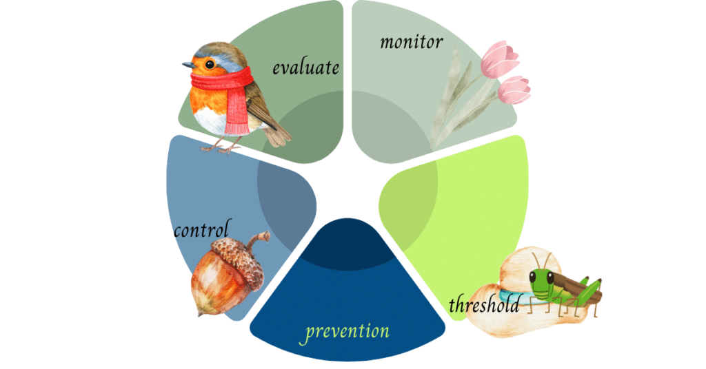 IPM through the seasons