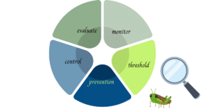 IPM: Part l-Introduction in your garden.