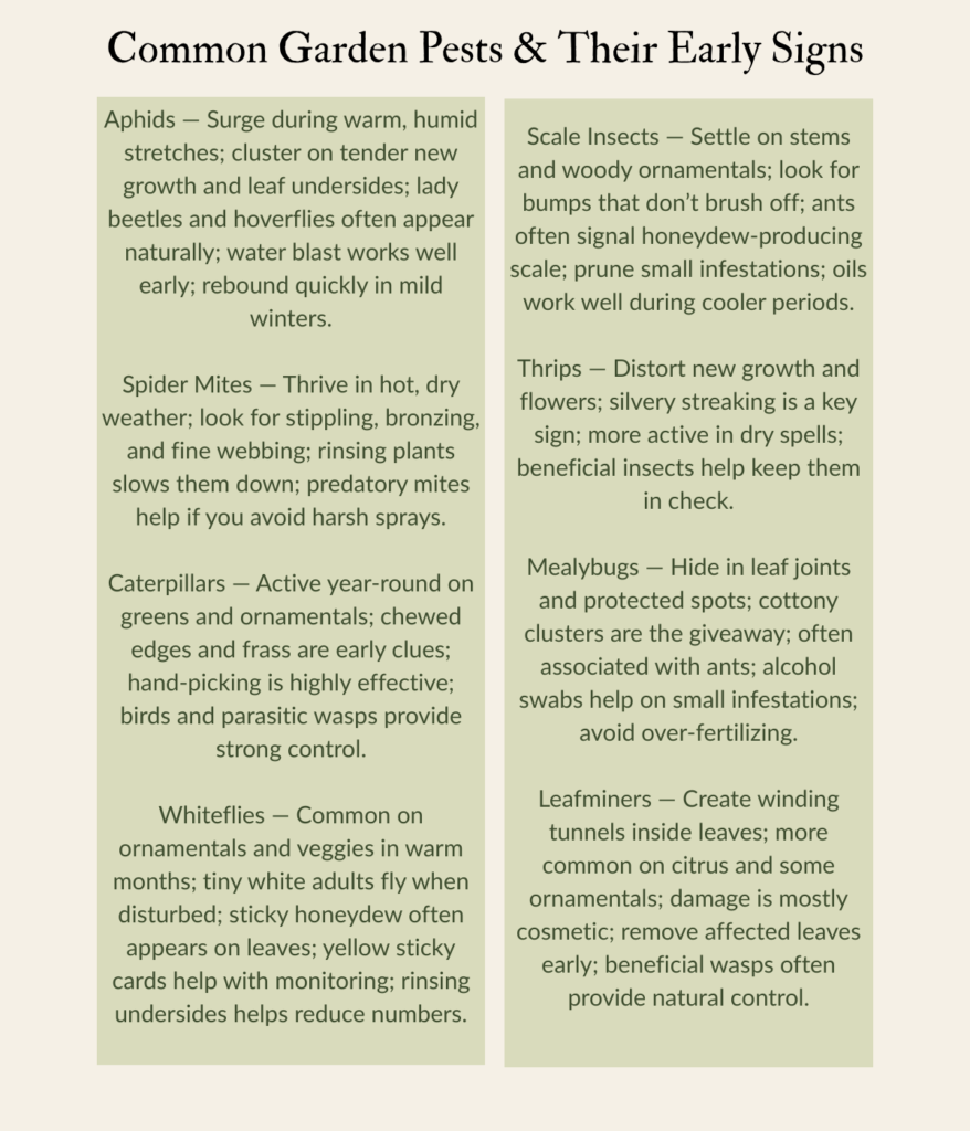 Table showing common garden pests to know on sight.