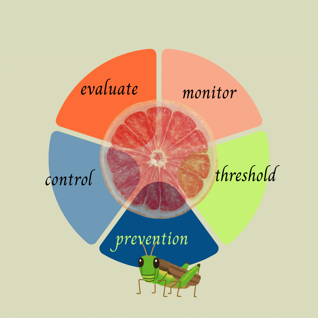 Early spring use of IPM