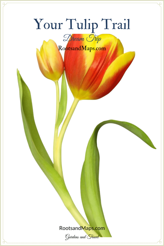 Is the Tulip Trail on your bucket list