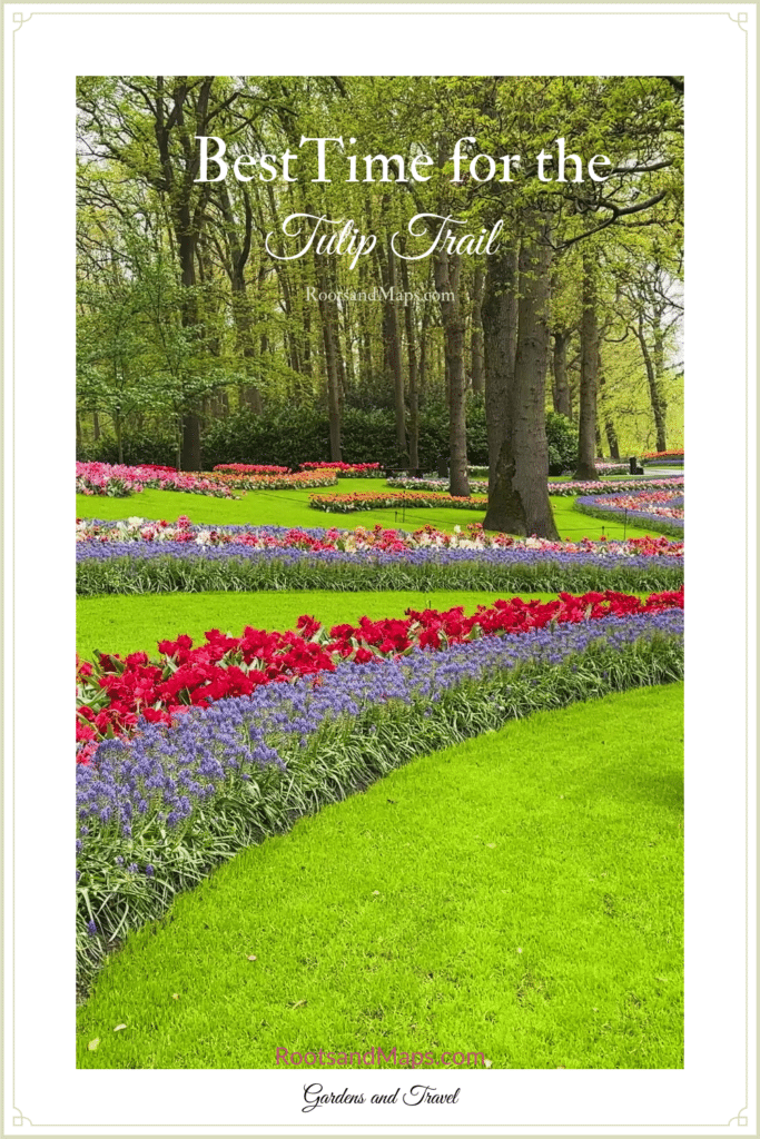 Haarlem in the tulip trail