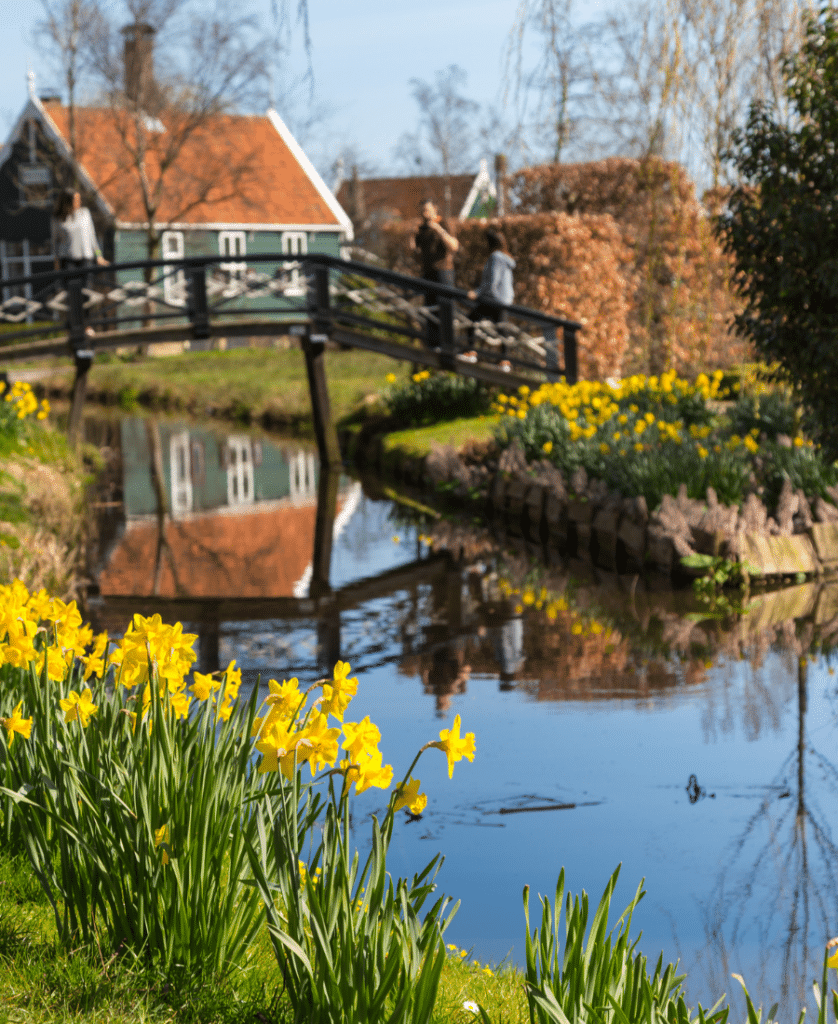 the countrysude wutg water