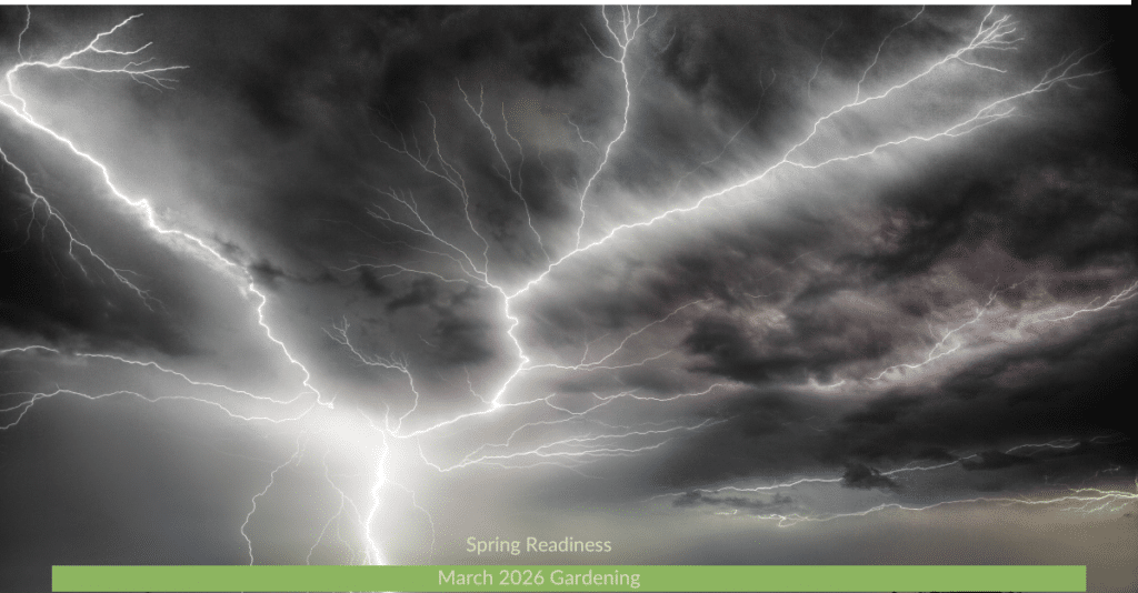 A classic summer thunder and lightening storm in the garden