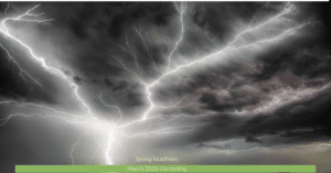 A classic summer thunder and lightening storm in the garden