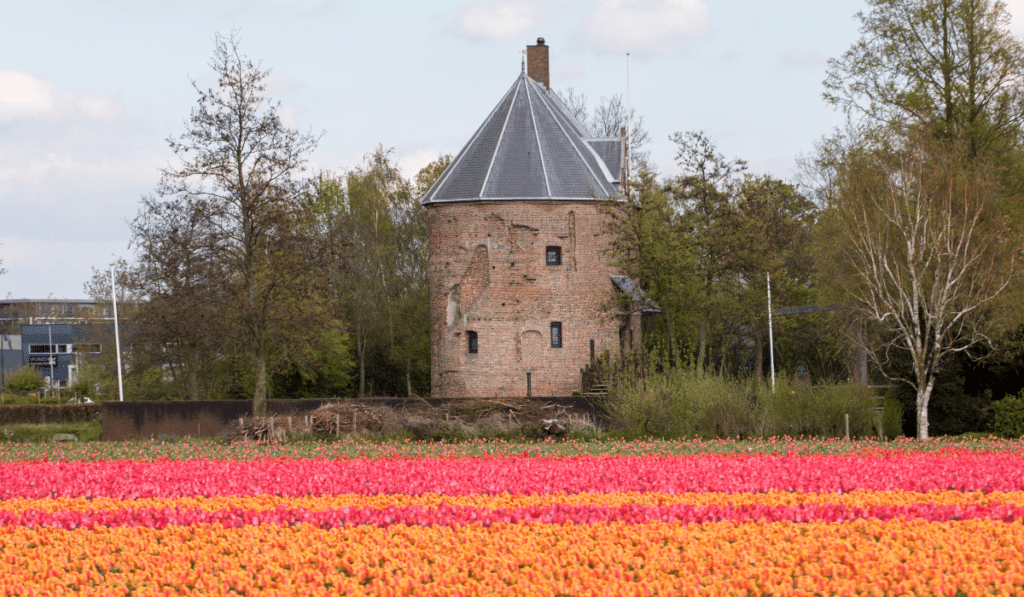 Dutch architecture and horticulture all together