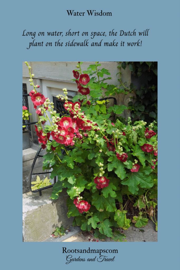 Garden planted on a sidewalk in Amsterdam
