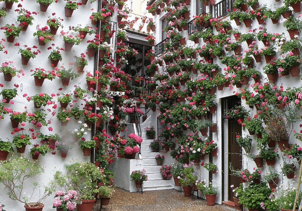 A courtyard on the Costa del Sol filled with walls of geraniums