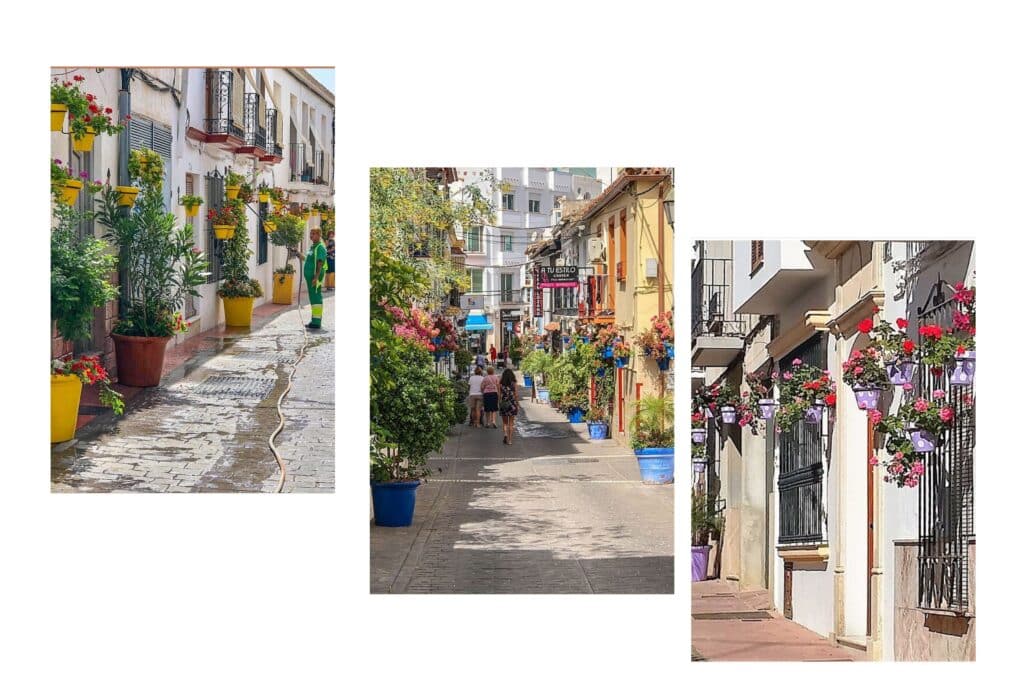 Three flower filled streets, each in its chosen color